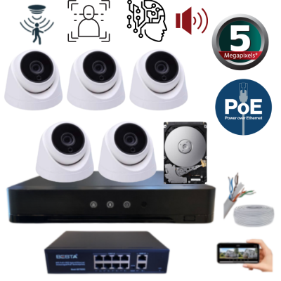 ARNA 5 MP YAPAY ZEKA 1 TB HDD DAHİL 5 KAMERALI FULL SET İÇ MEKAN GÜVENLİK SİSTEMİ - ST551B