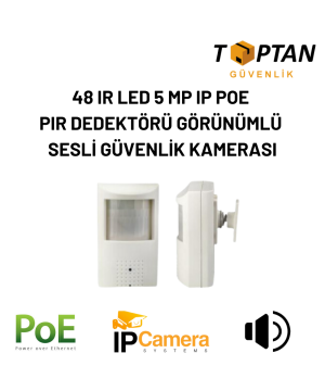 48 IR LED 5 MP IP POE PIR DEDEKTÖRÜ GÖRÜNÜMLÜ SESLİ GÜVENLİK KAMERASI- ARNA 821