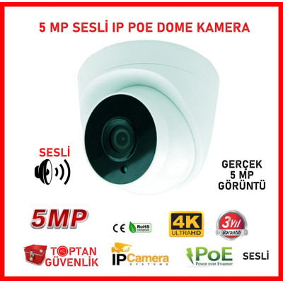 5 MP 36 LED IP POE SESLİ DOME GÜVENLİK KAMERASI ARNA-1335